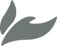 Wesley Seminary Dove Logo